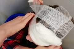 IMG_20190312_112839_resized_20190312_053328295