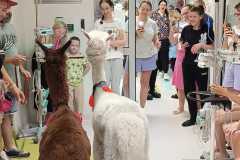 449845415_973174024602963_6692762429468754365_n