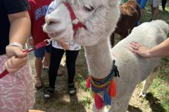 450355096_973174824602883_2463425511075684087_n