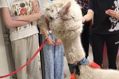 450372382_973174067936292_6900200199896544336_n