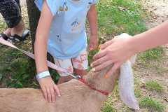 450381969_973174287936270_8670271489945482906_n