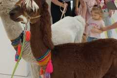 450398878_973174157936283_8660864180298598190_n