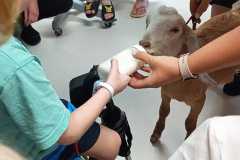 450414590_973173811269651_5500208830450771649_n