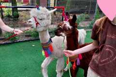 450508584_973174367936262_3129036887177213732_n