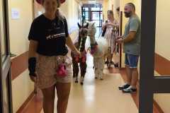 450518925_973173661269666_7588547670224421743_n