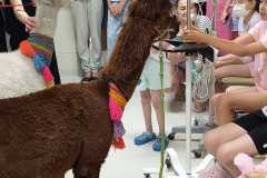 450590887_973173964602969_4310122969145773847_n