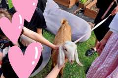 450621625_973174717936227_8739542212869925730_n