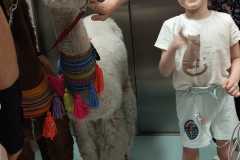 450656225_973173917936307_6556798664624540474_n