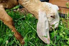 450692276_973174664602899_8474770023535375412_n