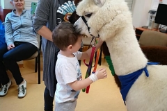 72891063_505499393335481_8869533806168637440_n