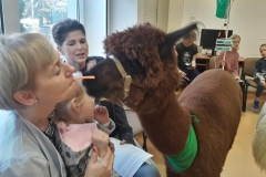 73024782_505499766668777_1830930870224027648_n