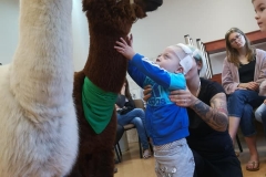 73158196_505499500002137_3791360862757847040_n