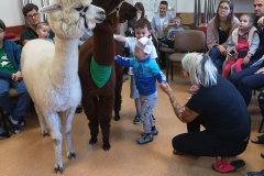 73372200_505499573335463_3877285810977898496_n