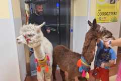 454403702_992336896020009_1005721902088585252_n