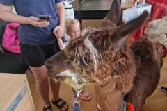 454410832_992336652686700_2768086611957516415_n