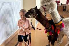 454429644_992336496020049_4964524918436497208_n