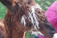 454533000_992337006019998_5596739749805231973_n