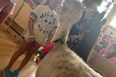 454611534_992336419353390_6894044091543681973_n