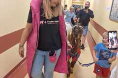 454702491_992336846020014_4808944907543373816_n