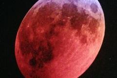 IMG_20190319_095741_resized_20190319_100817283