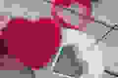 441068544_933890805197952_4713369310389041959_n