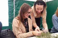 310661410_581171703803199_476502468711831816_n