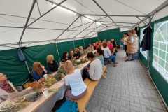 386191367_808523074401393_600785261849293500_n