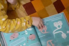 139130000_697898570899074_662