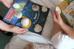 c557e7b7-d779-4f52-9835-2900731971af