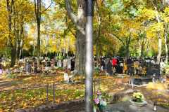 IMG-20231030-WA0003