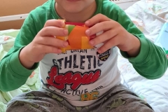 129003026_862063787954666_3338639238587955663_n