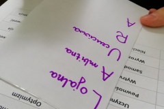 IMG_20190429_135007_resized_20190430_061602506