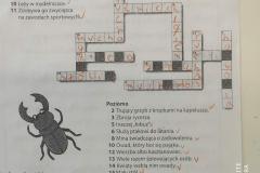 185300231_523191712422504_3111828630664854974_n