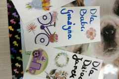 7cfaae40-cc9e-4ab4-8e9d-2f01f0fb9753