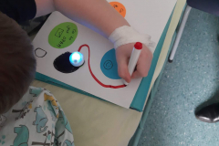 278043128_931513237529156_6083393456672743364_n