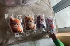 556031969_1305811148005914_5984641344900416010_n