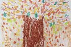 558866617_1314806300439732_5512838644331058282_n