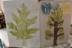 560421205_1314806697106359_5008751160754572315_n