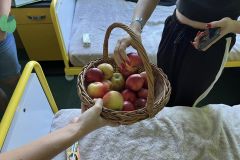 384503486_805119724741728_6175376821909242967_n