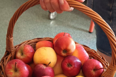 384537429_805119664741734_8412308954076641077_n