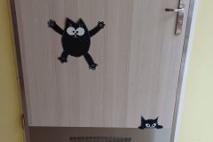 480245420_1128133635773667_485436842270323828_n