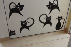 480484623_1128132599107104_876806098836031612_n