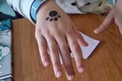 427720075_886152919971741_4201432446584233297_n