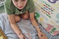 427720087_886151923305174_7758322408855277167_n