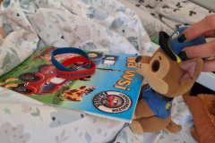 b70ed9ec-cad6-49ea-abdc-dc0fc6679110