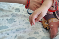 be4ff703-4bd6-402c-ad6a-ff8d2de25ffe