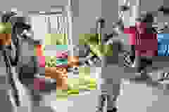 443713568_434786899306956_8090972971695888047_n