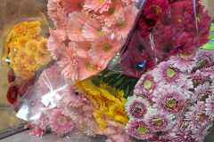 444483264_942903057630060_7474884945904712546_n