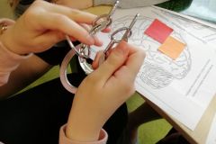 IMG_20190321_134907_resized_20190321_050921821