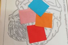 IMG_20190321_140800_resized_20190321_050918786